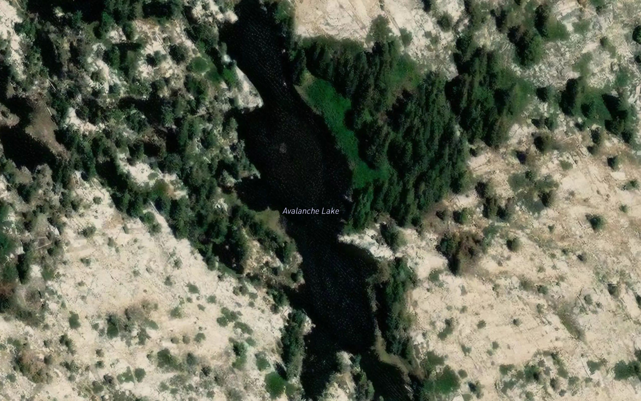 Avalanche Lake