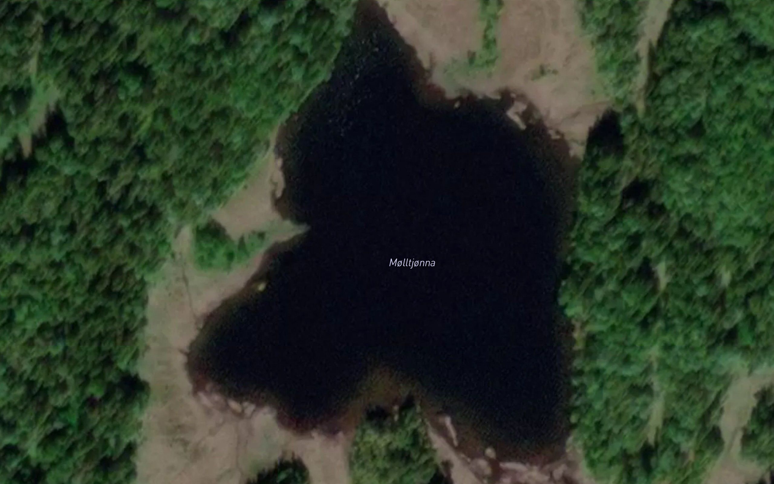 Molltjonna