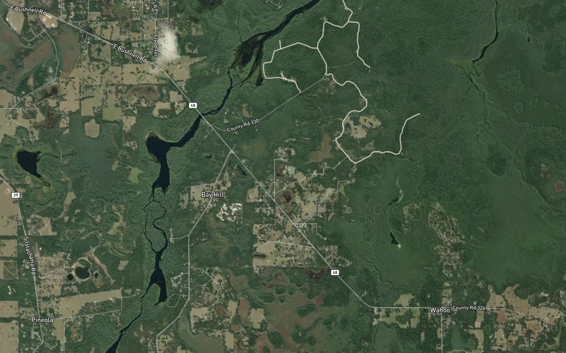 Satellite map of the Little Pond
