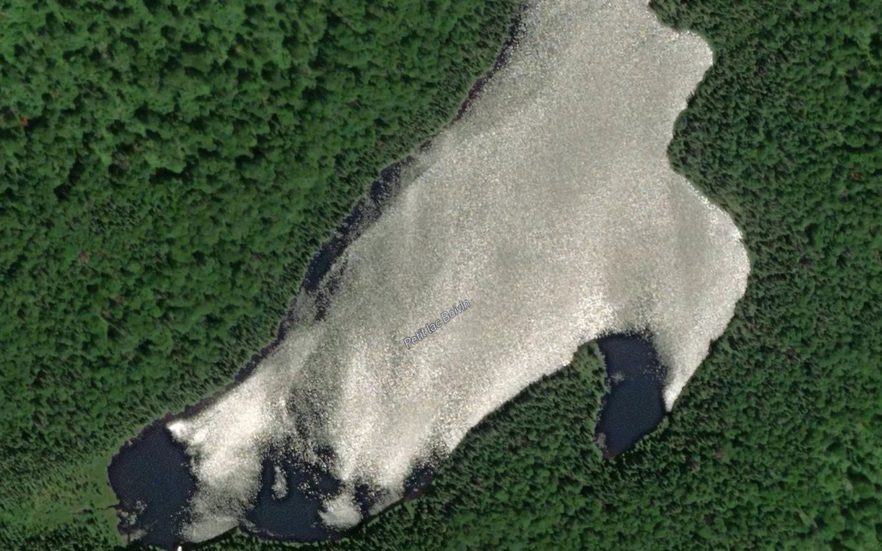 Satellite map of the Petit lac Boivin