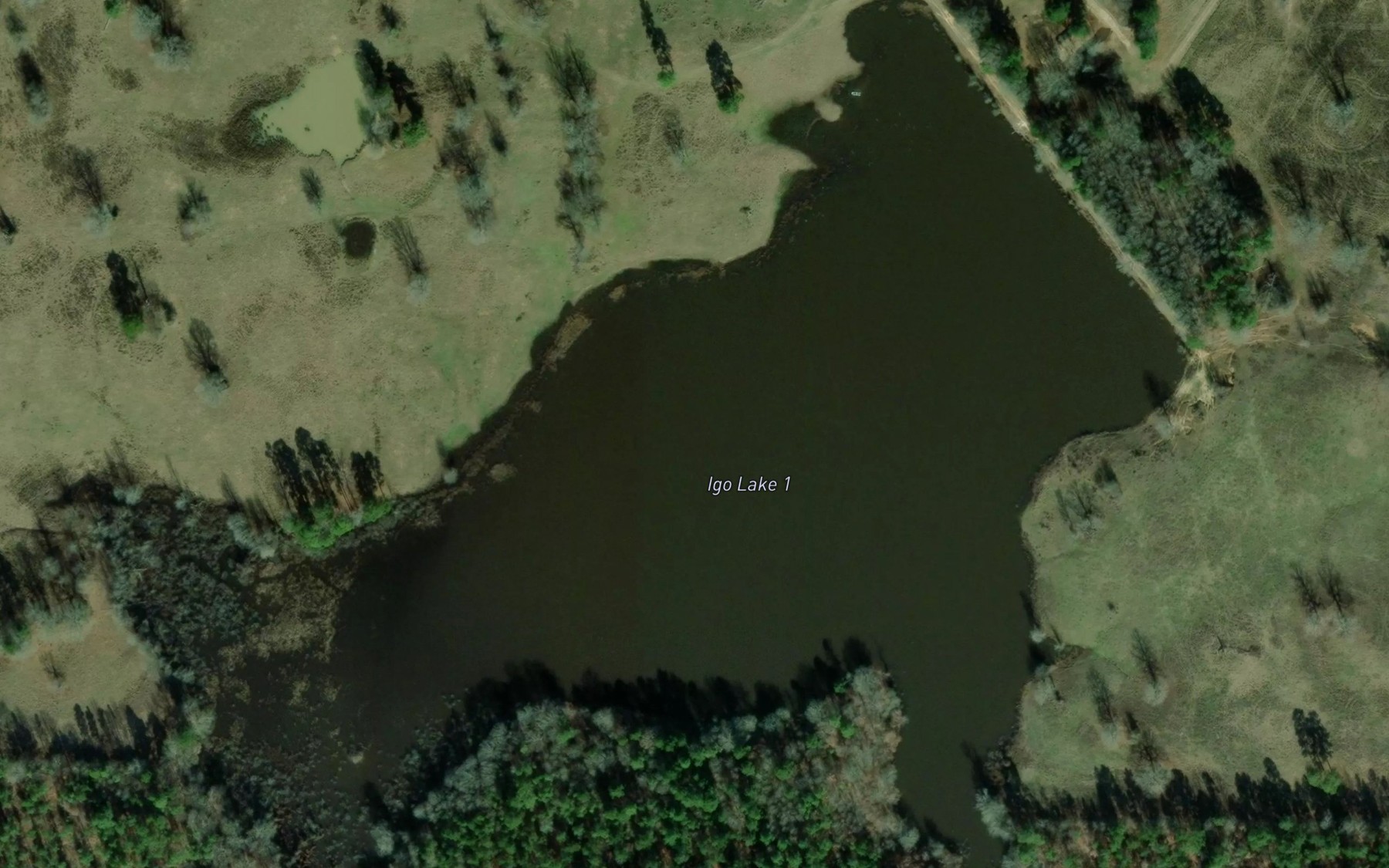 Satellite map of the Igo Lake 1