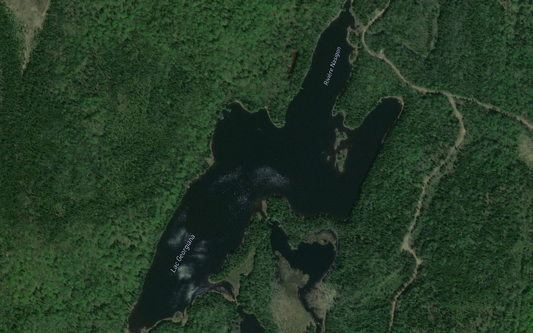 Satellite map of the Petit lac Trefle