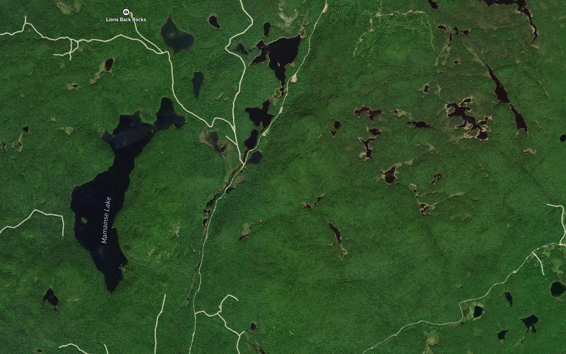 Satellite map of the Cedar Lakes