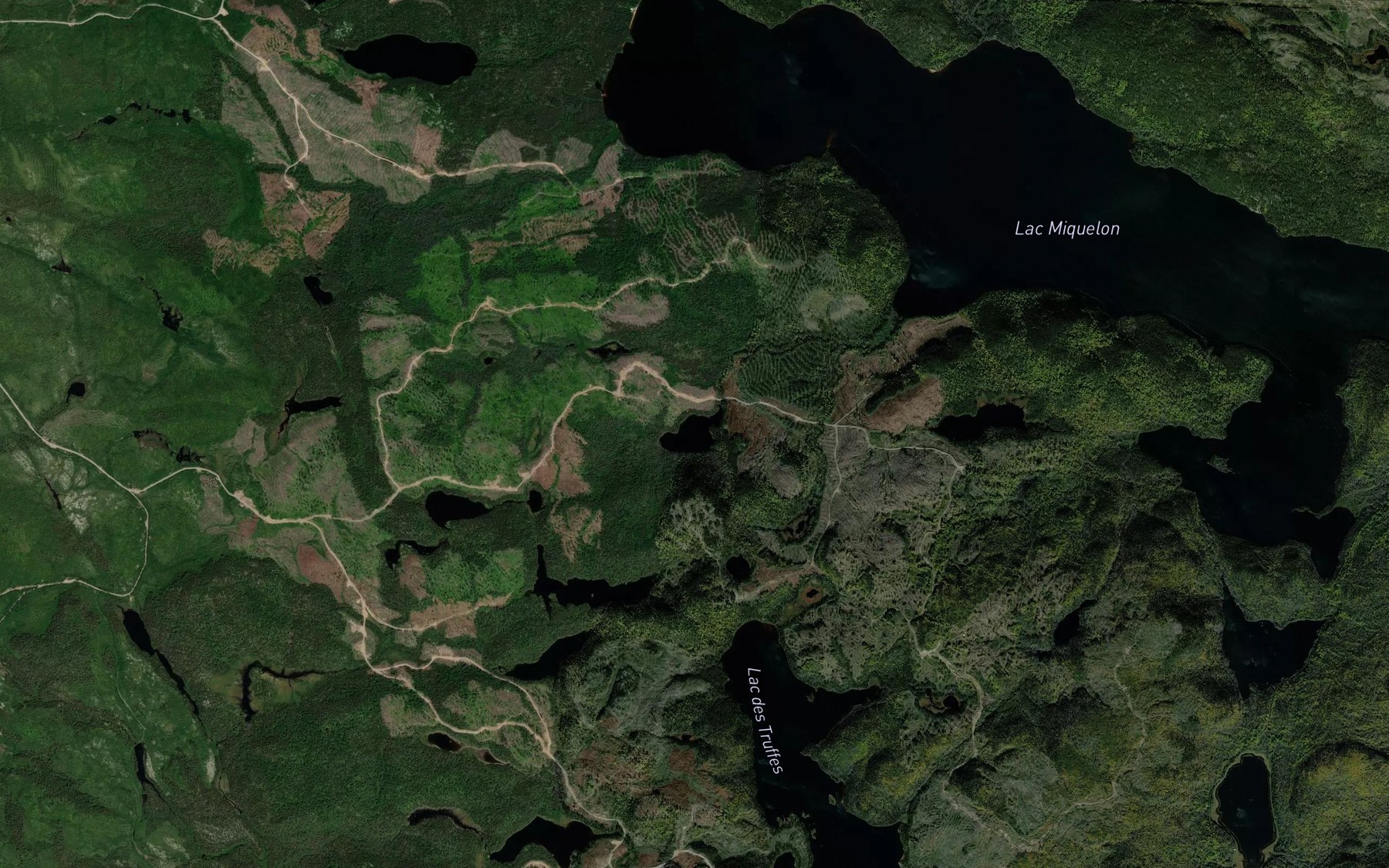 Satellite map of the Lac des Castors