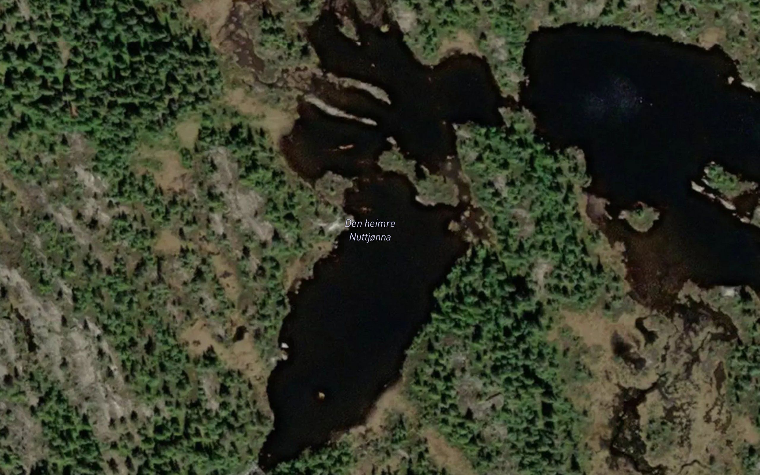 Den heimre Nuttjonna