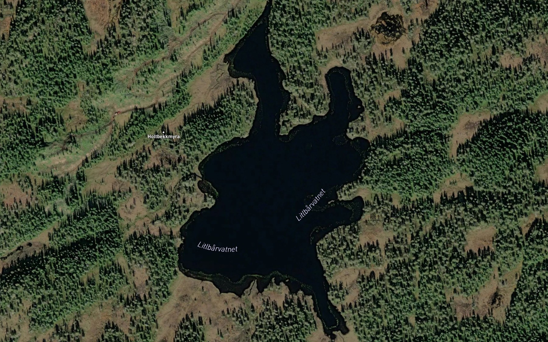 Satellite map of the Litl-Borvatnet