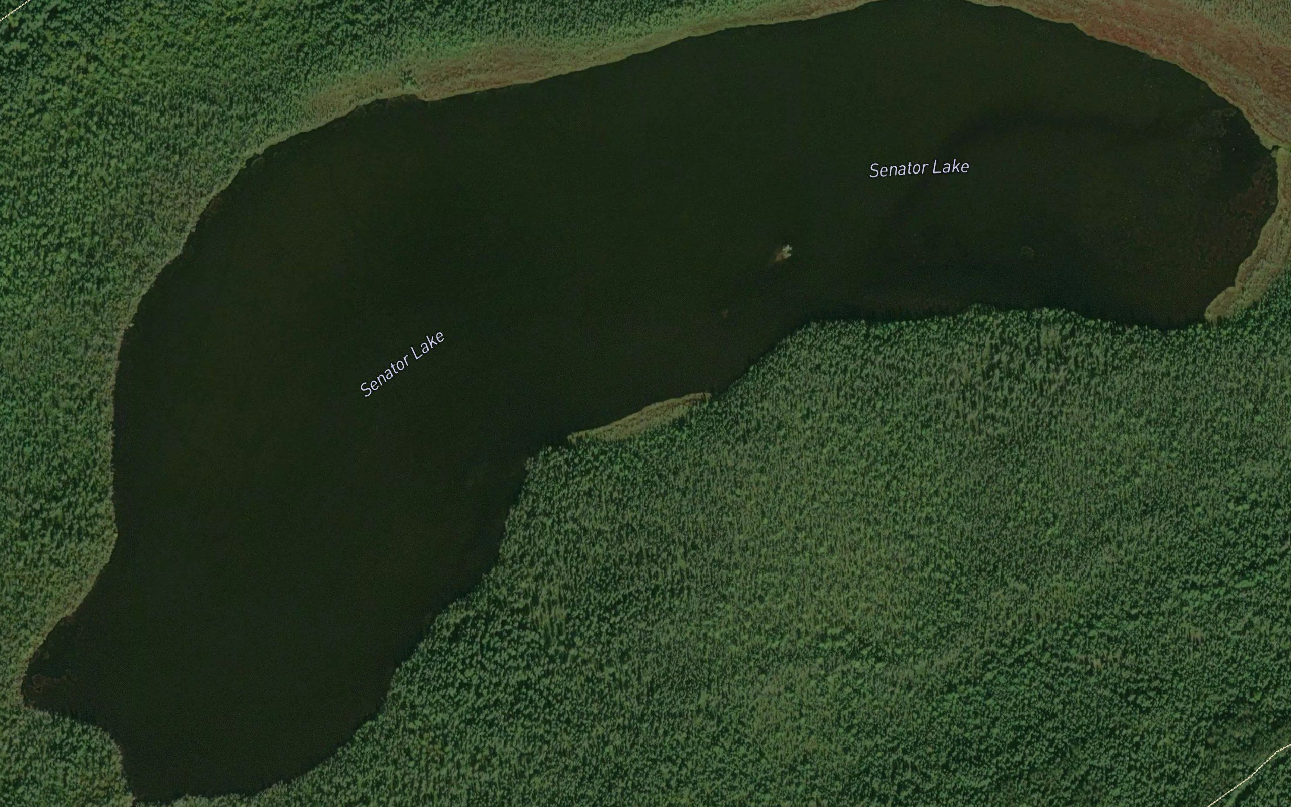 Senator Lake