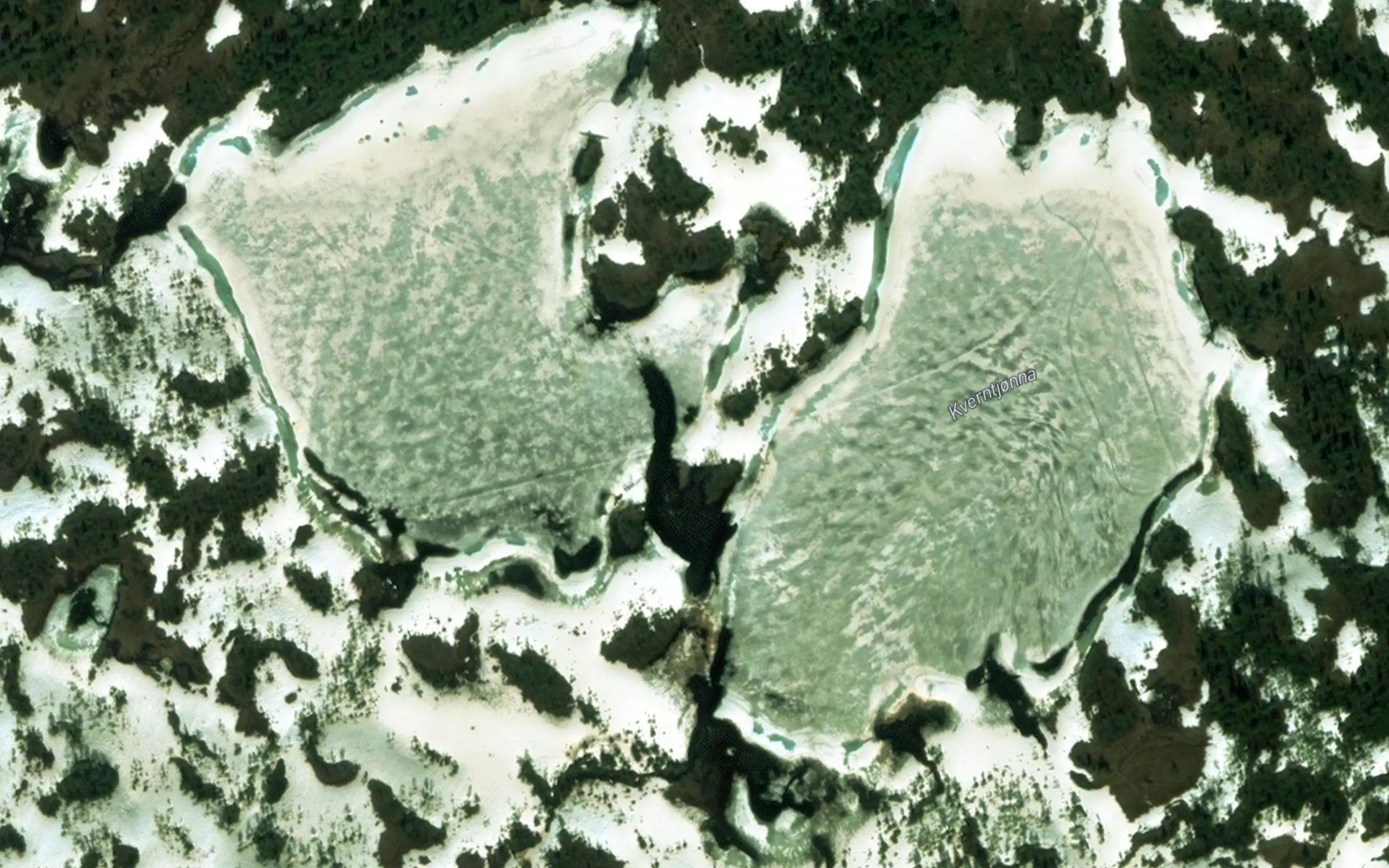 Kverntjonna