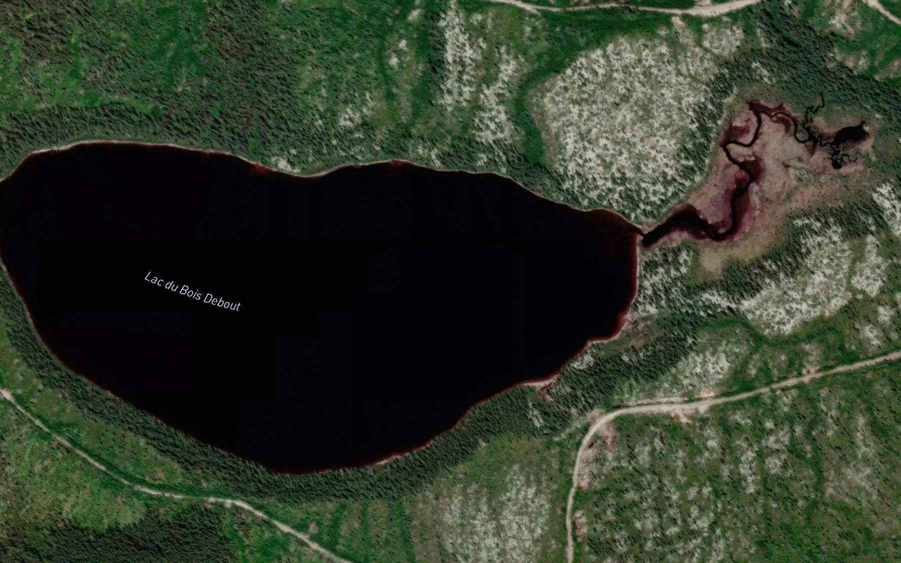 Satellite map of the Lac du Bois Debout