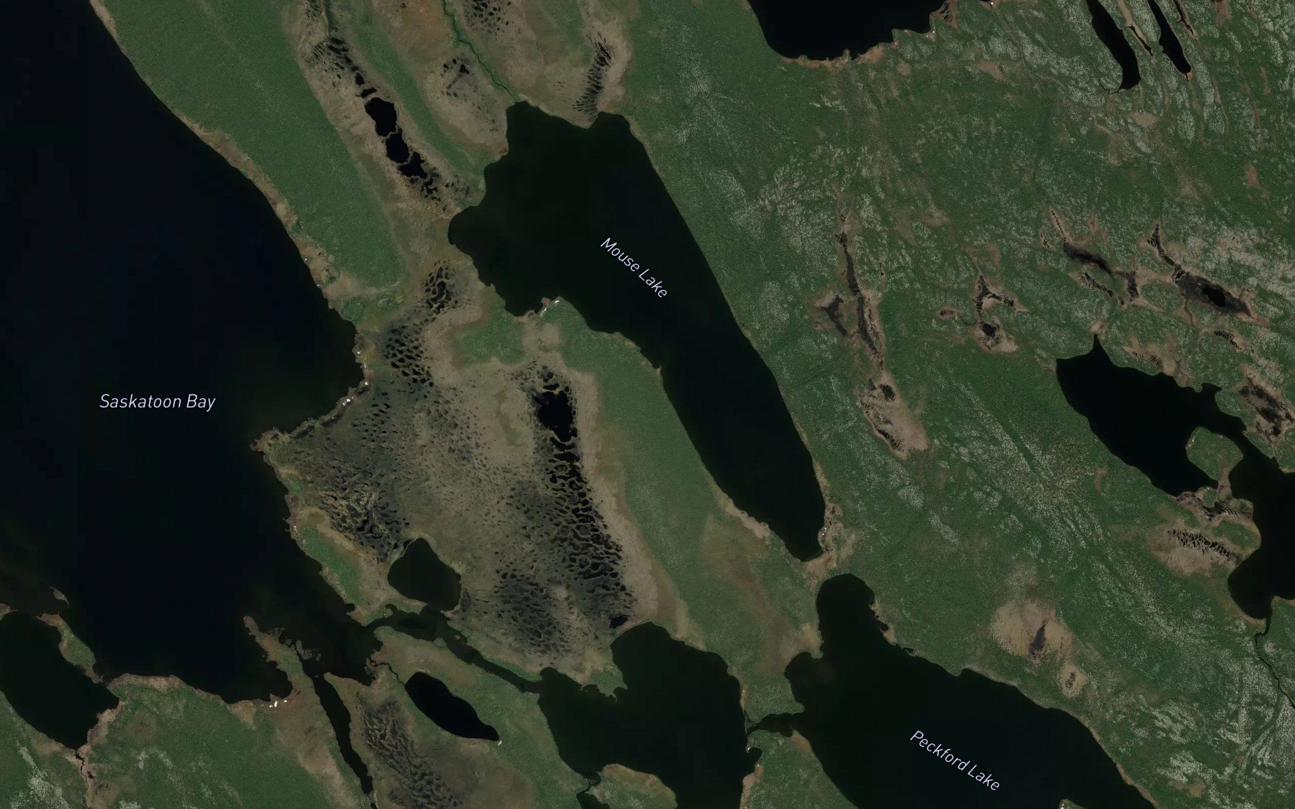 Mouse Lake