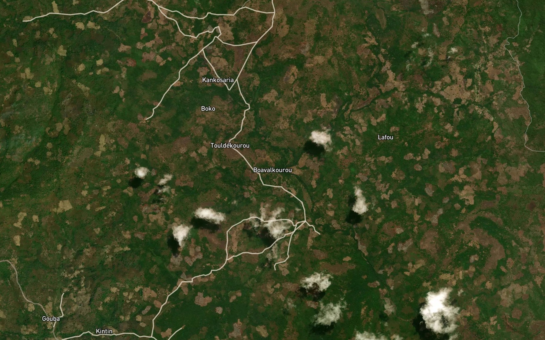 Satellite map of the Diegounko