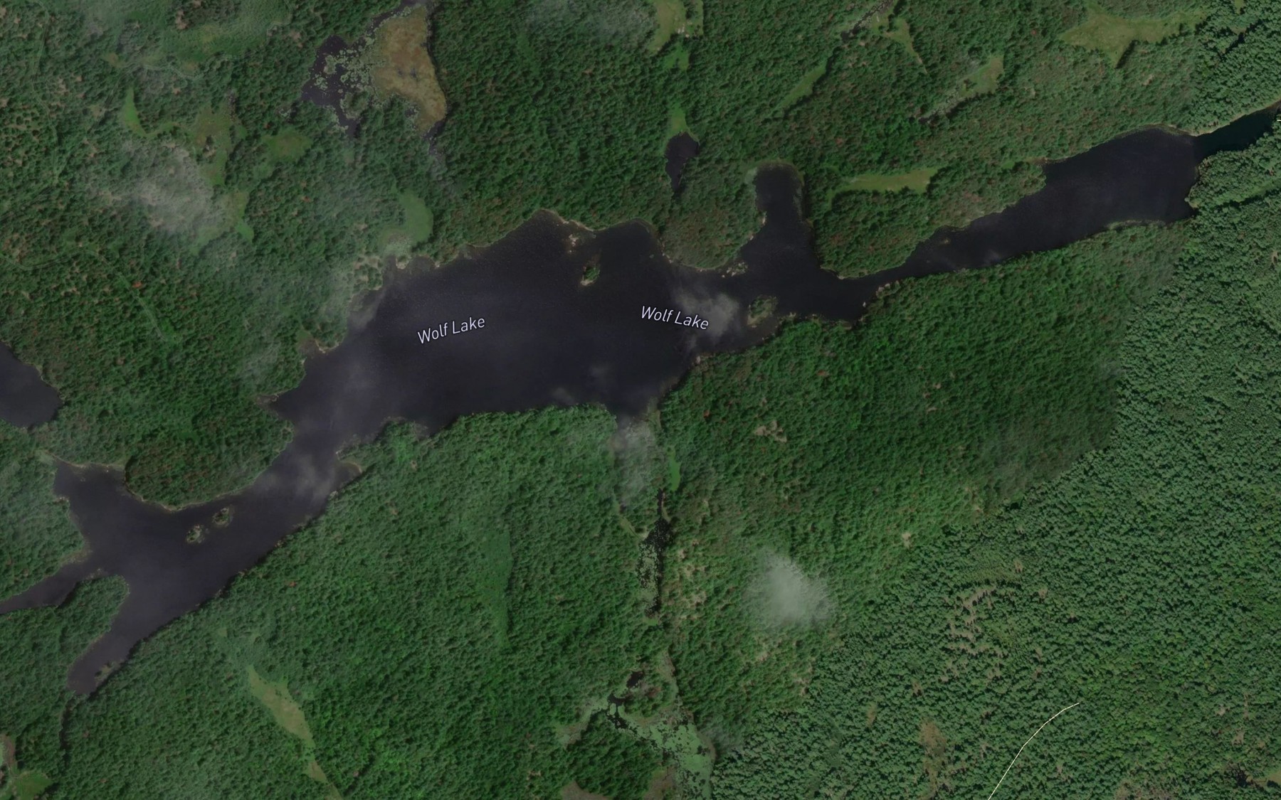 Satellite map of the Wolf Lake