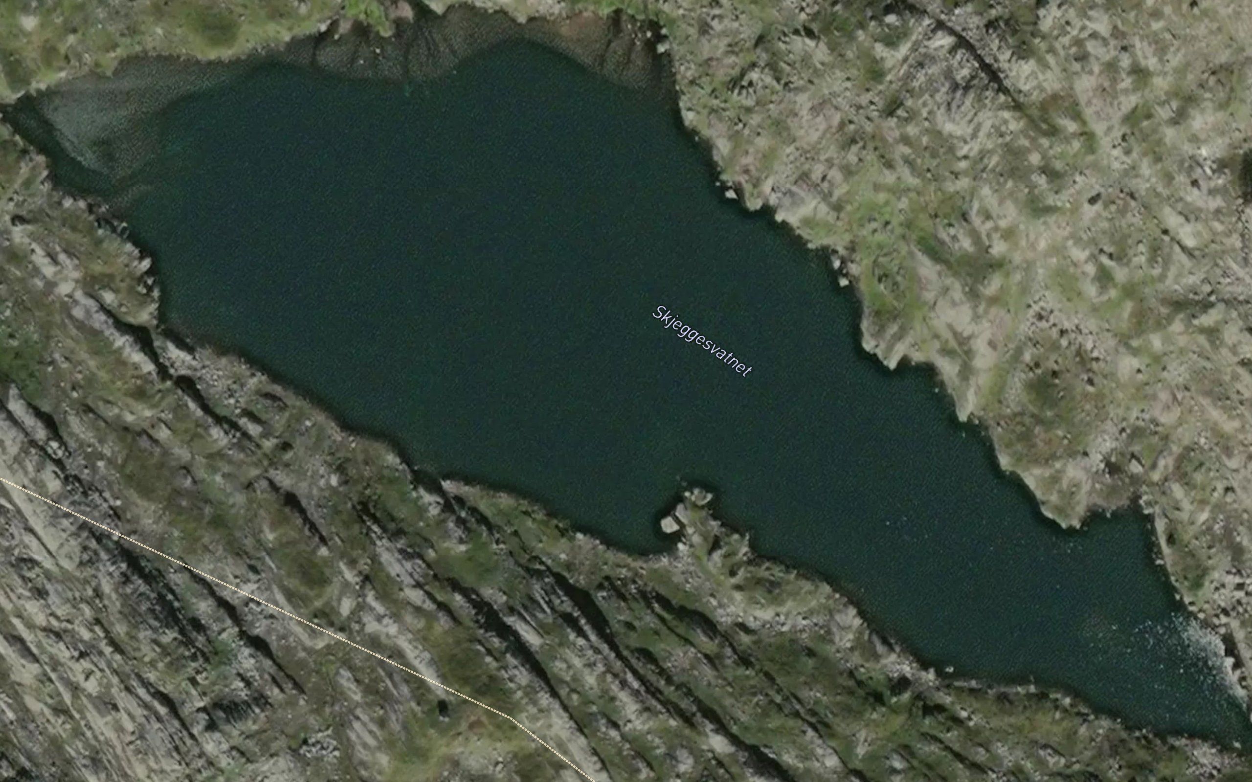 Skjeggesvatnet