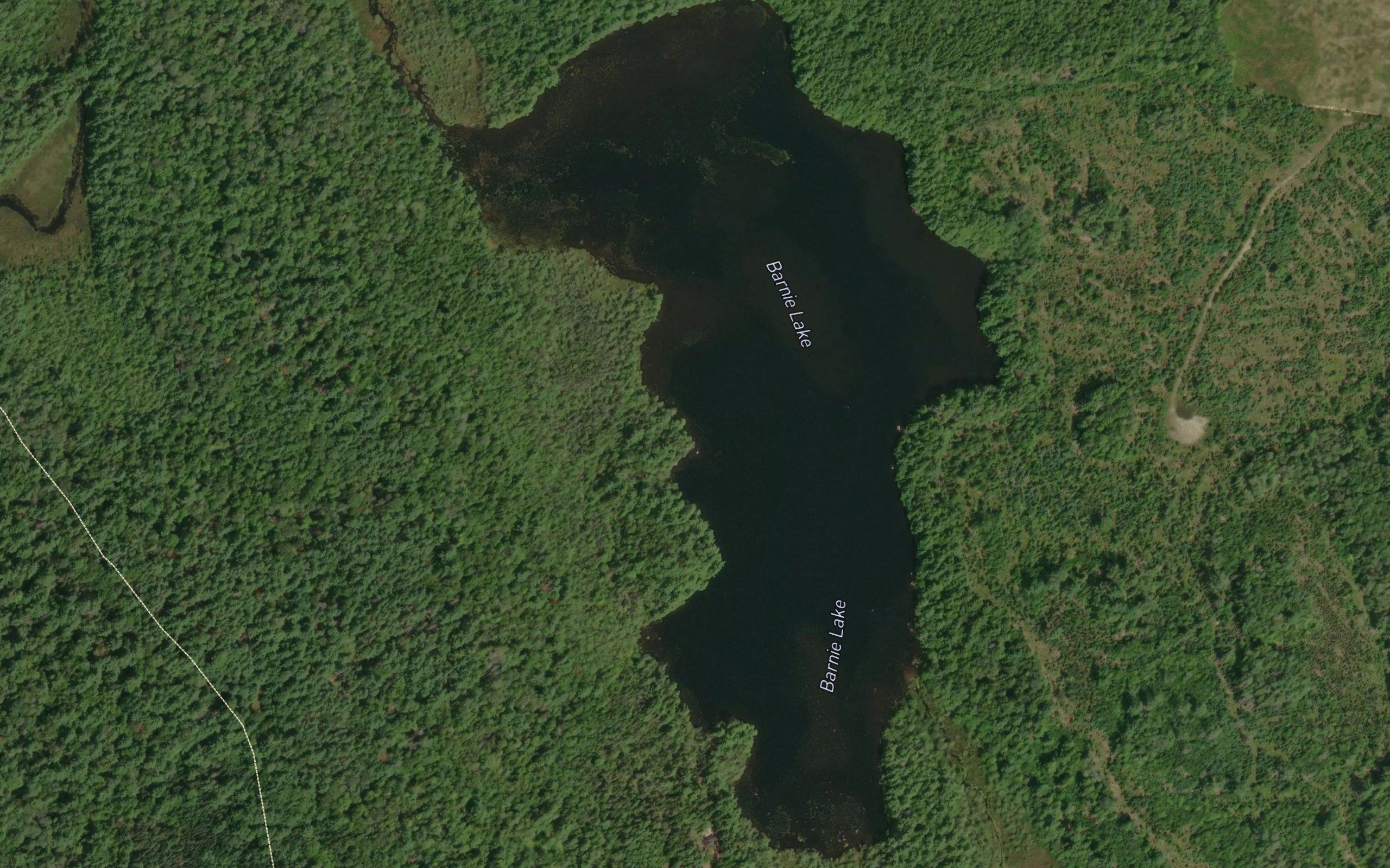 Barnie Lake