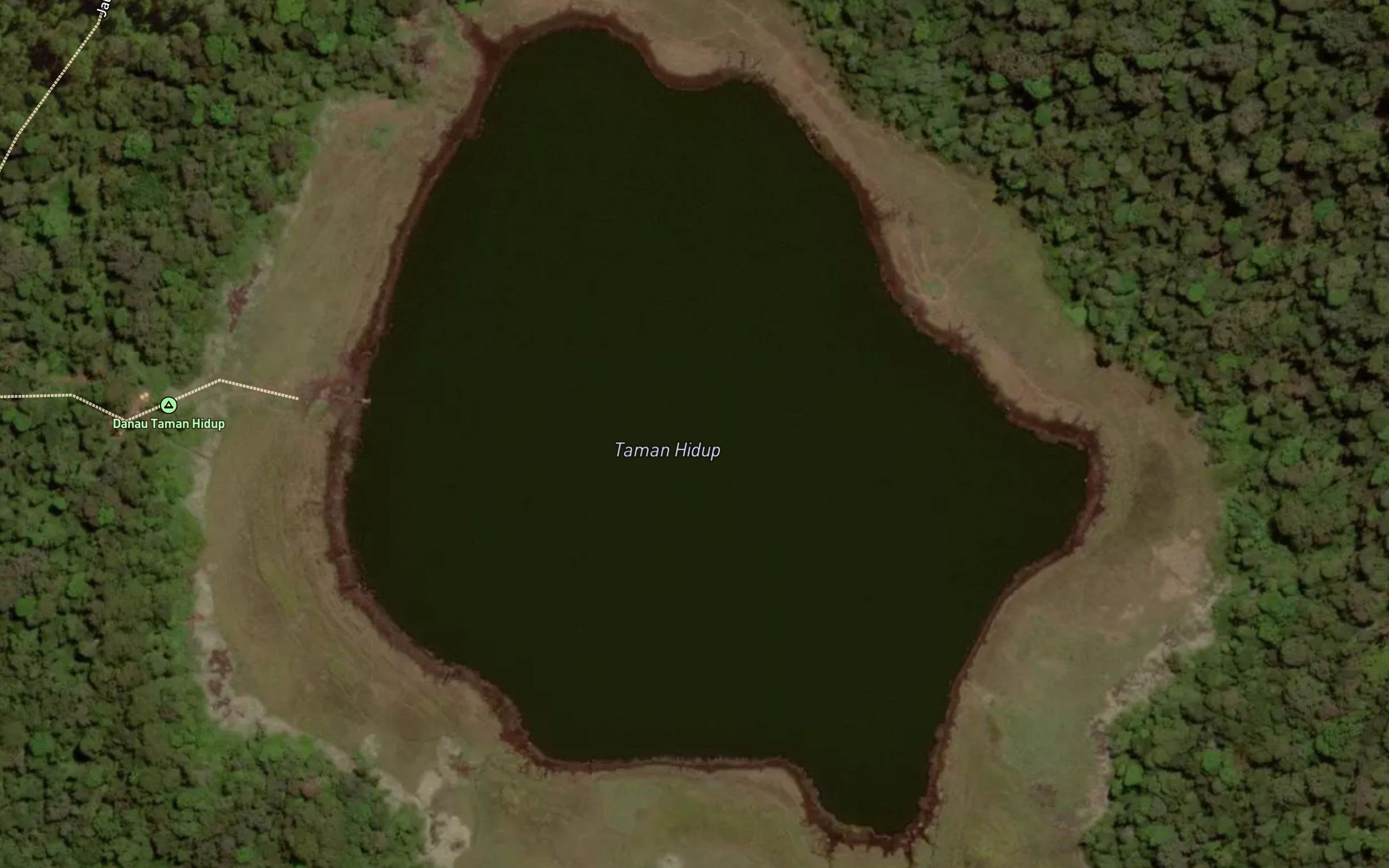 Danau Tamanhidup