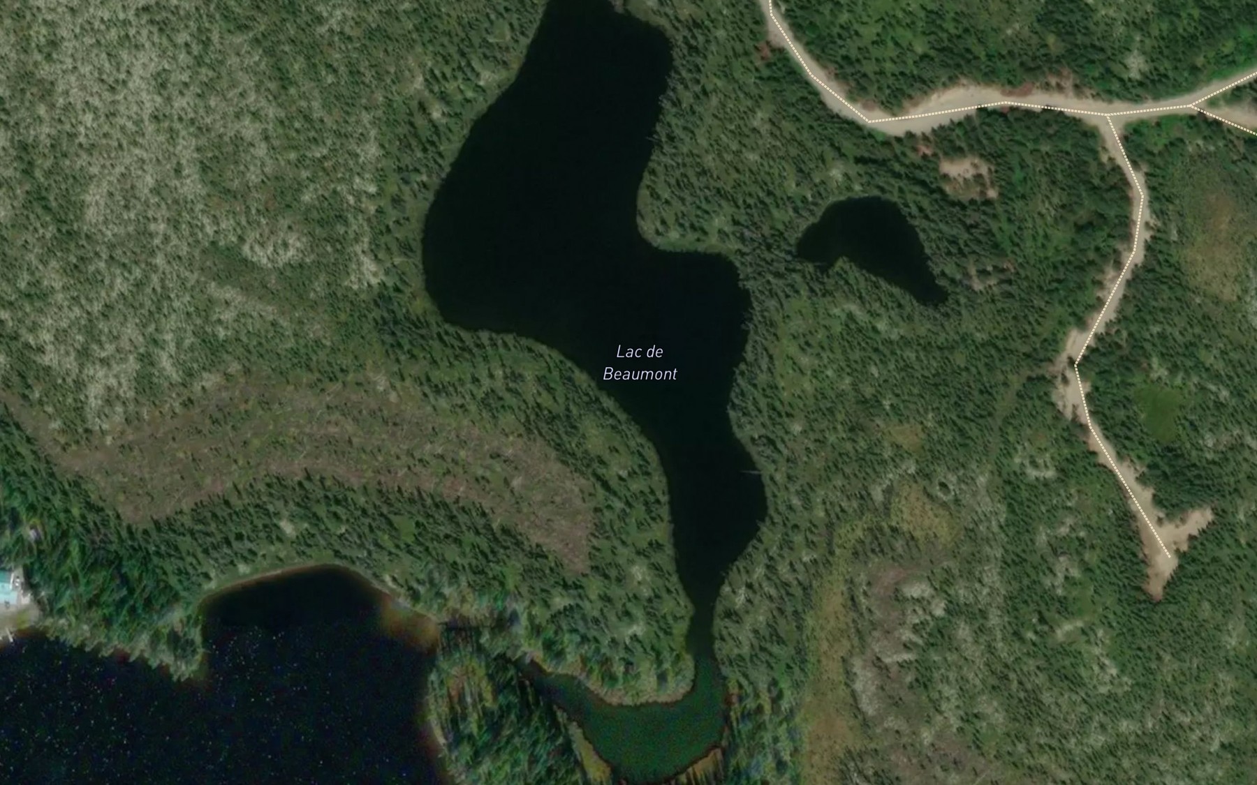 Satellite map of the Lac de Beaumont