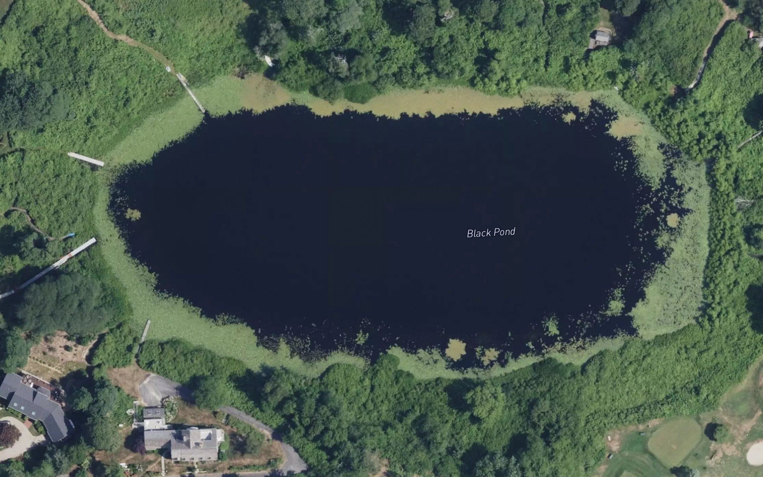 Black Pond