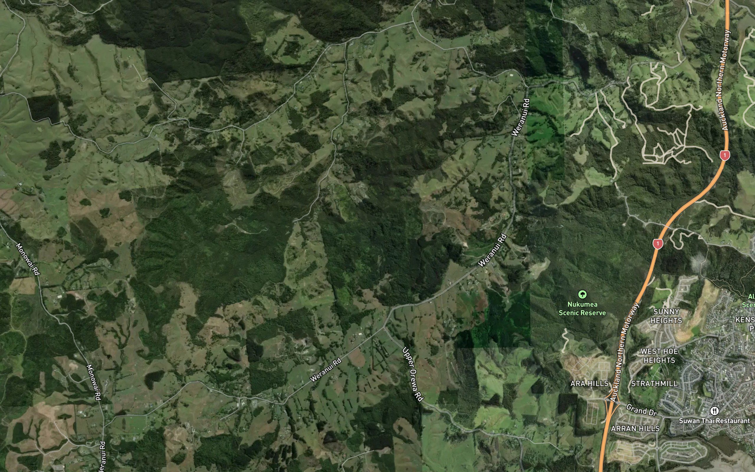 Wainui Stream