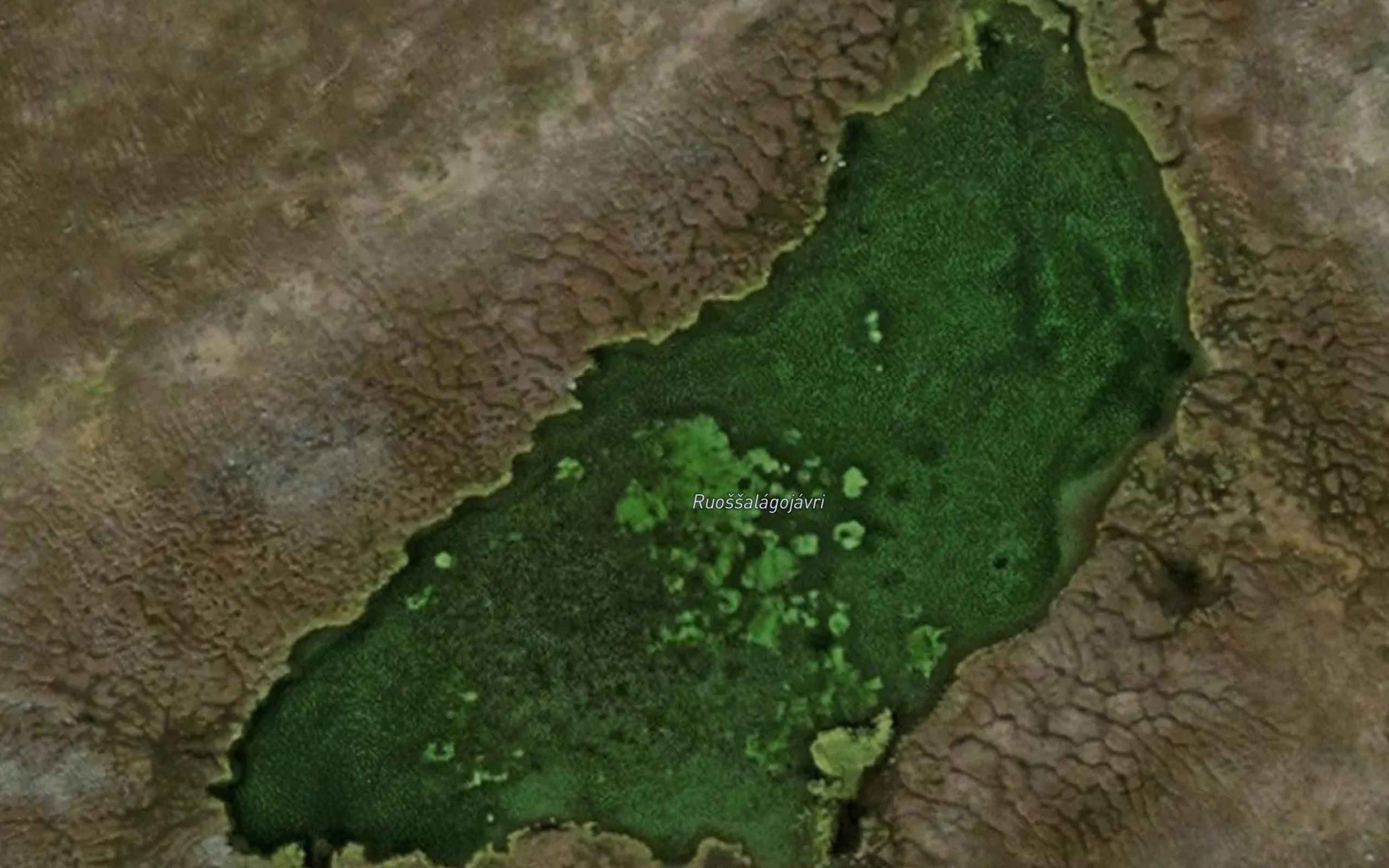 Ruossalagujavri