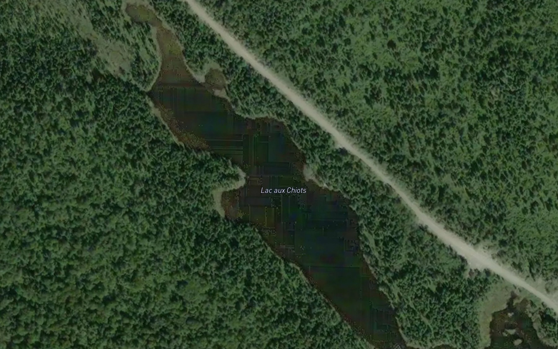 Satellite map of the Lac aux Chiots