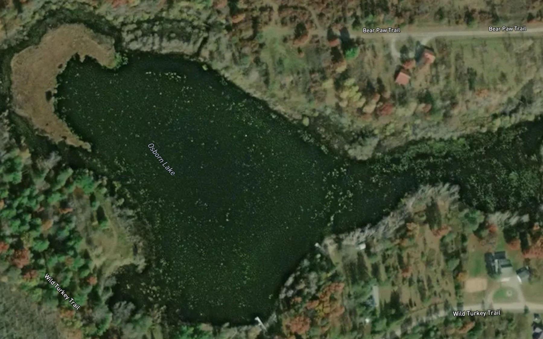 Satellite map of the Osborn Lake