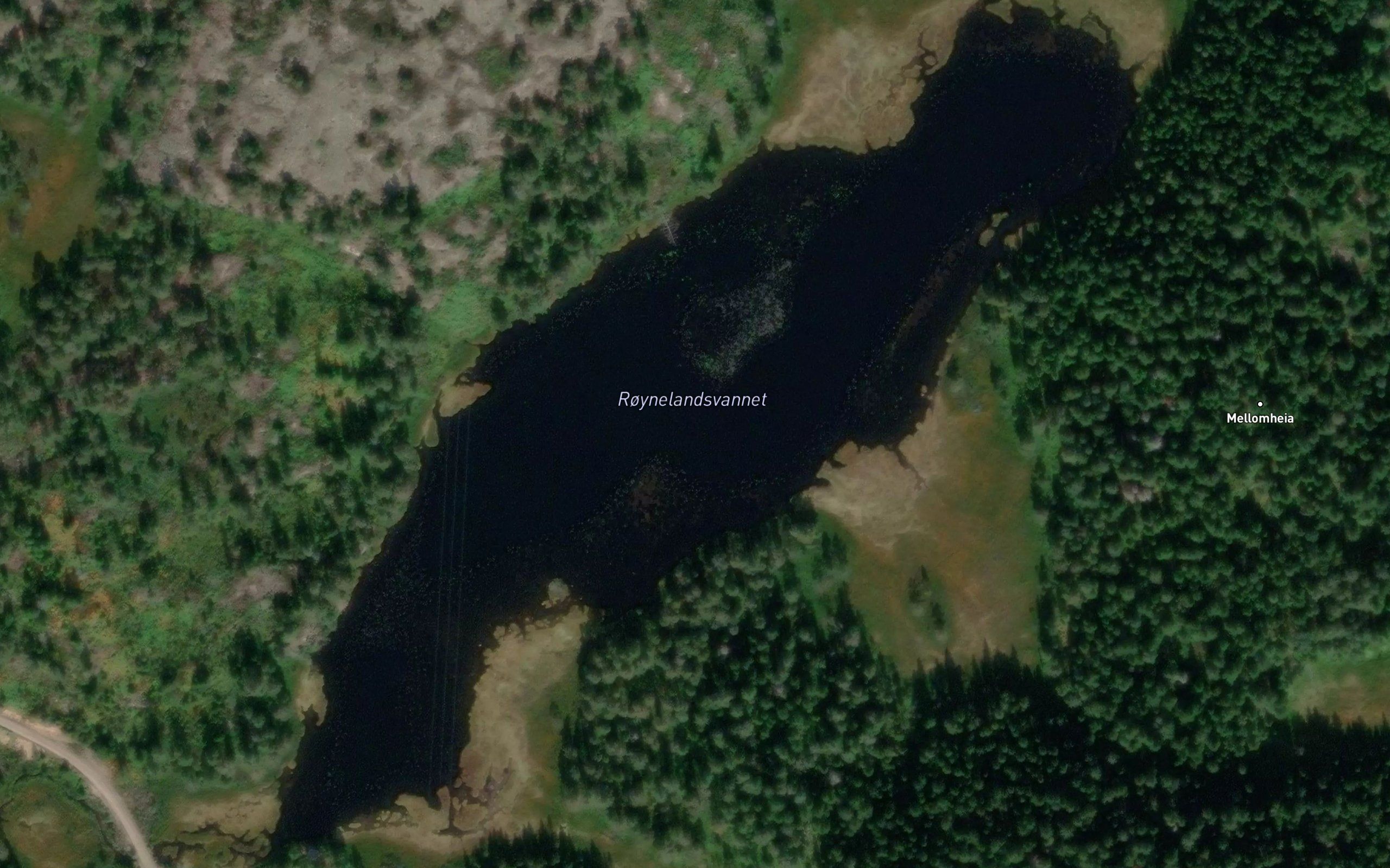 Roynelandsvannet
