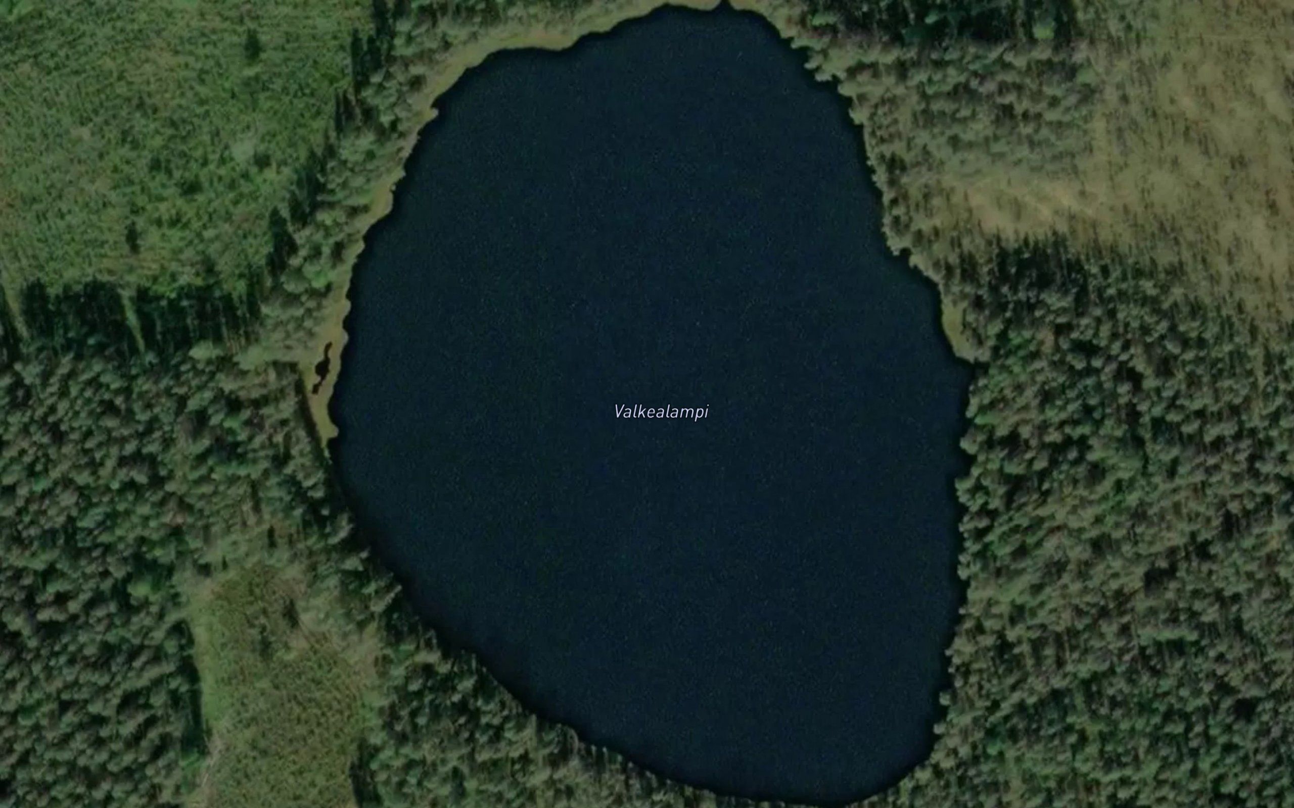 Valkealampi