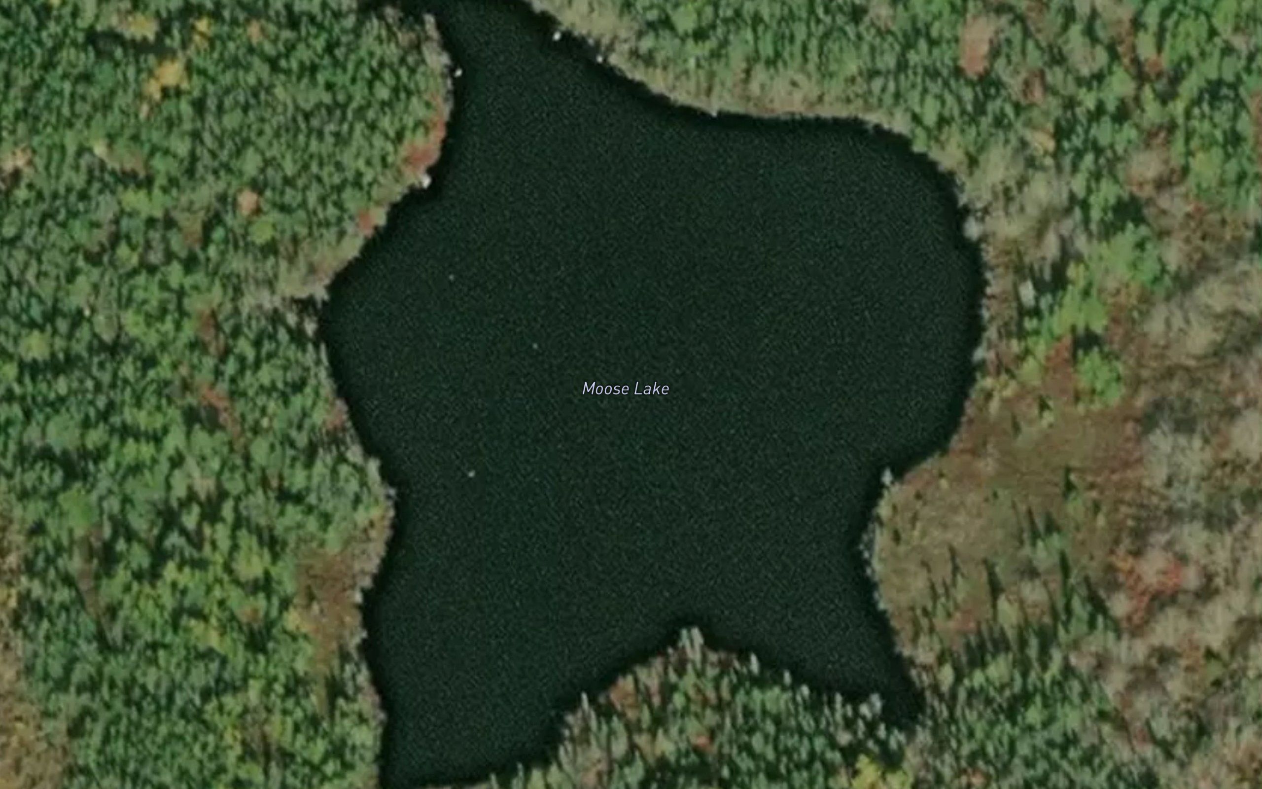 Moose Lake