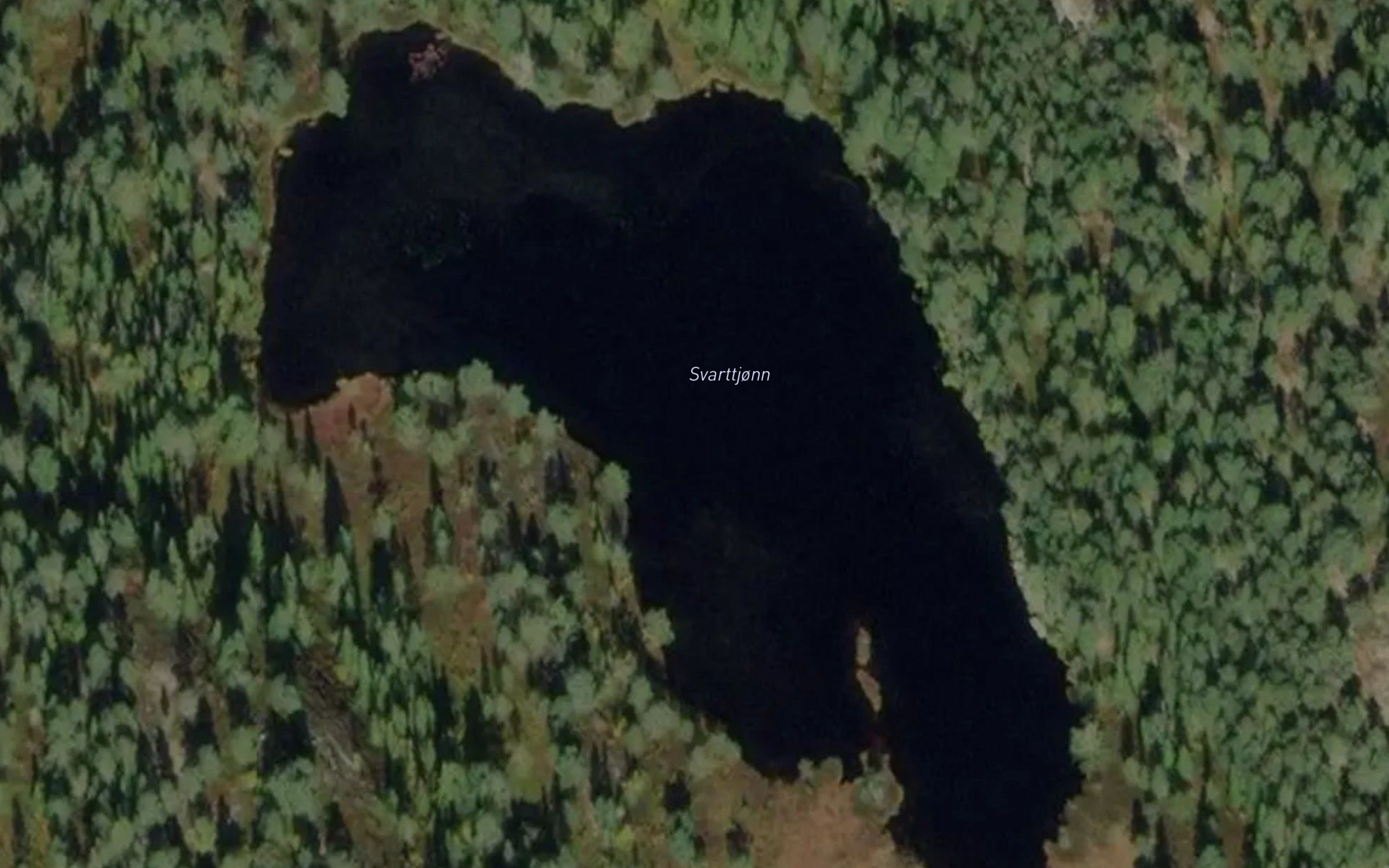 Svarttjonn