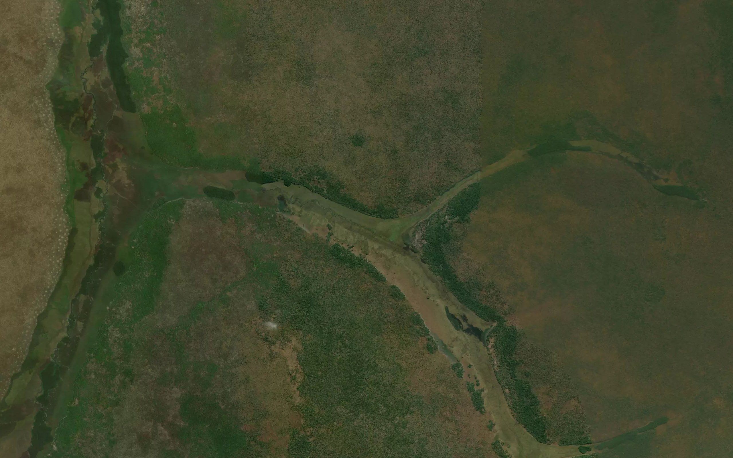 Bulungo