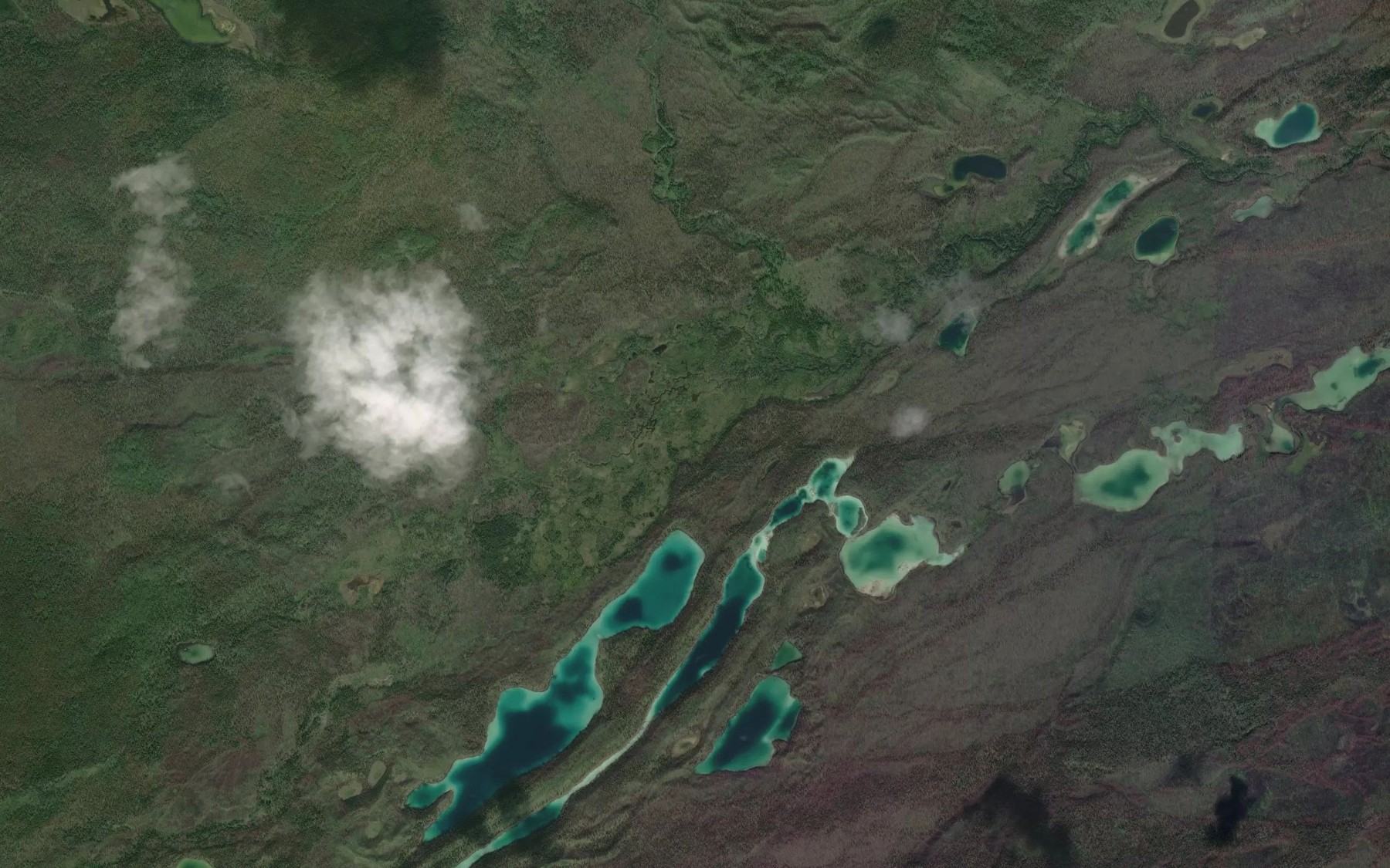 Satellite map of the Mustela Creek