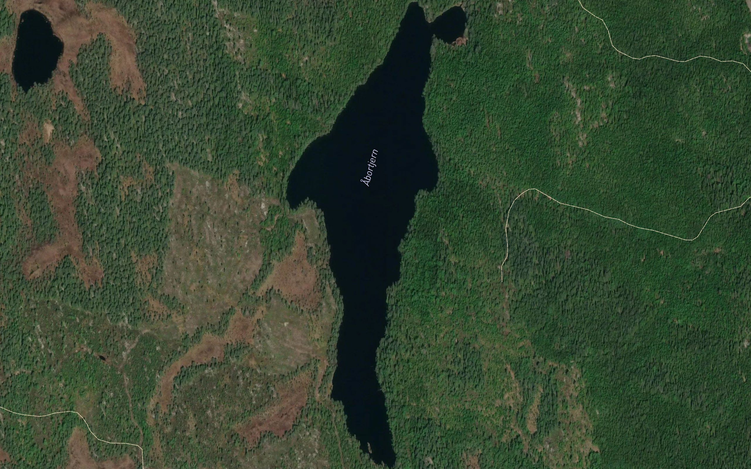 Abbortjern