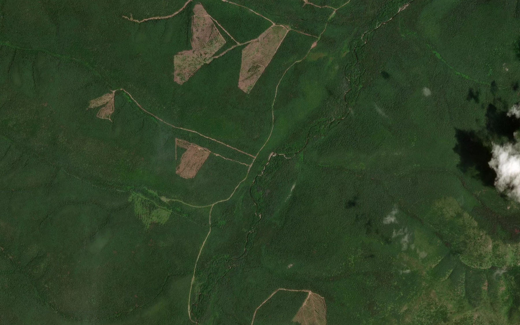 Satellite map of the Zelenyy
