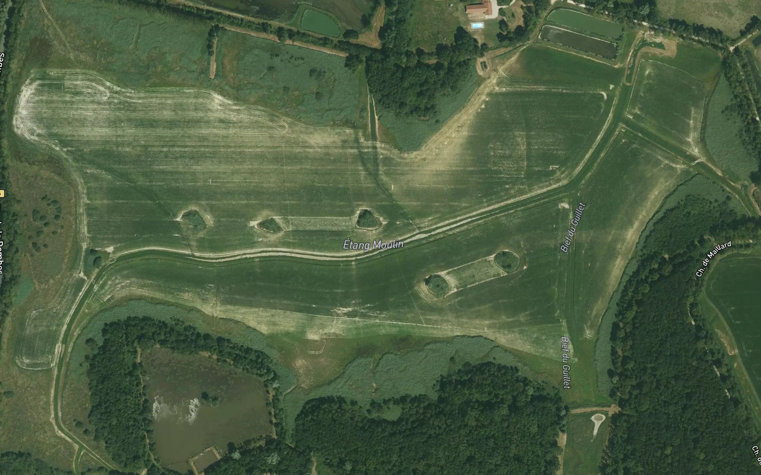 Etang Moulin