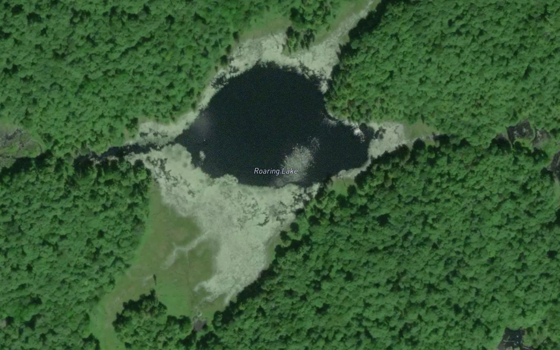 Satellite map of the Roaring Lake