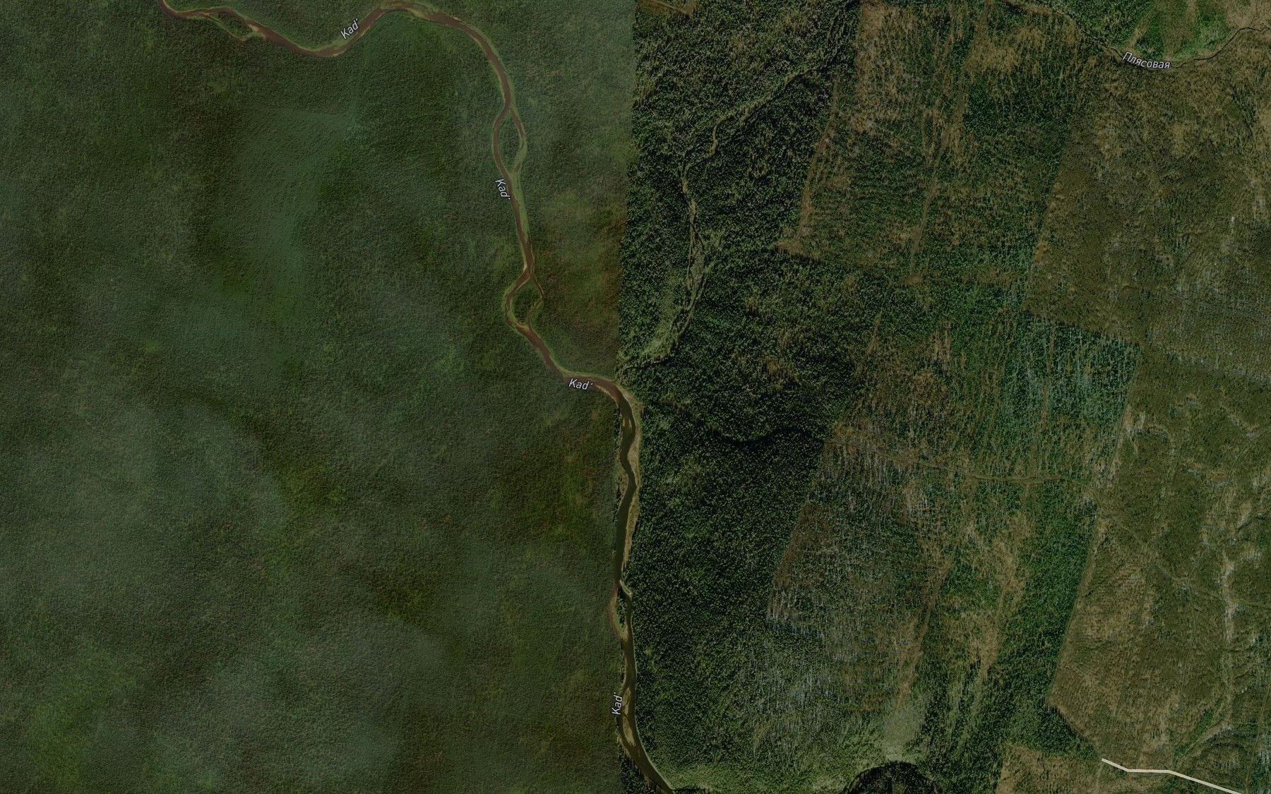 Satellite map of the Plyasovaya