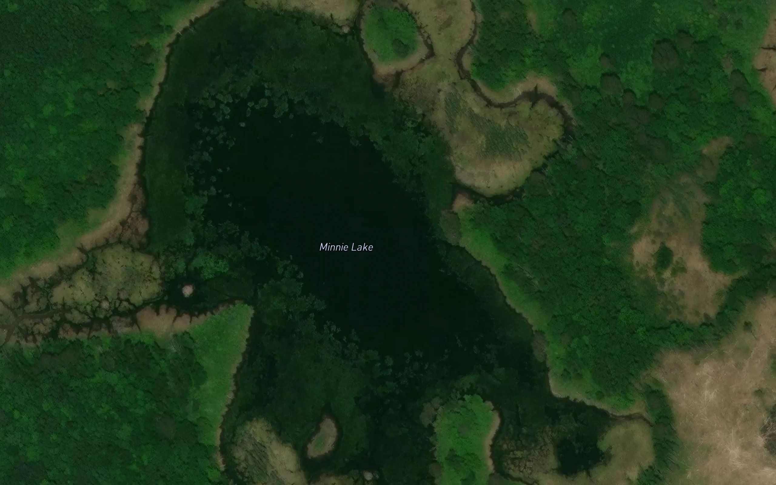 Minnie Lake