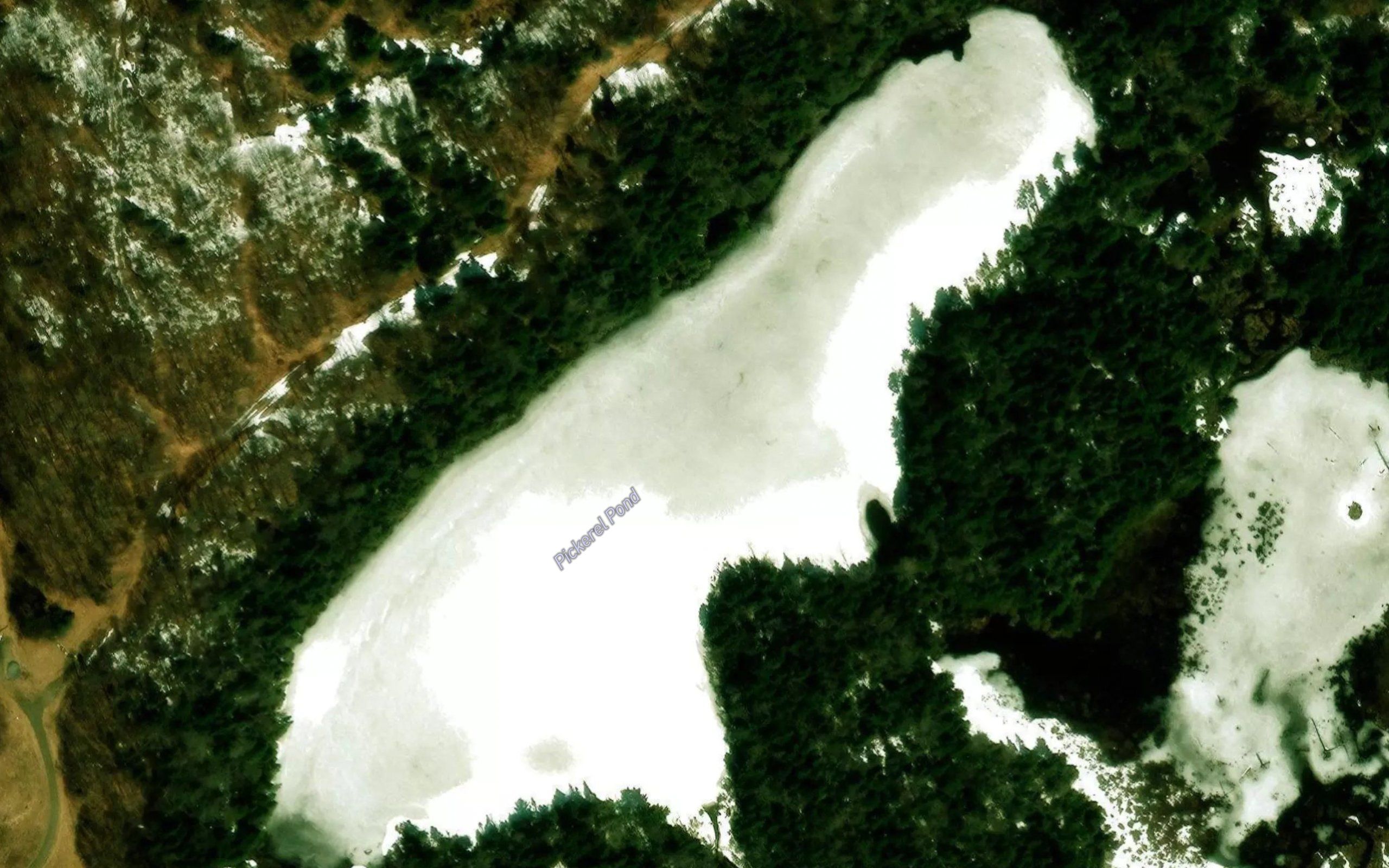 Pickerel Pond