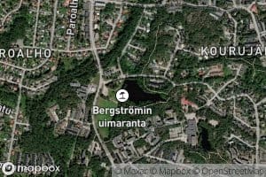 Bergstrominlampi