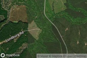 Reedy Creek
