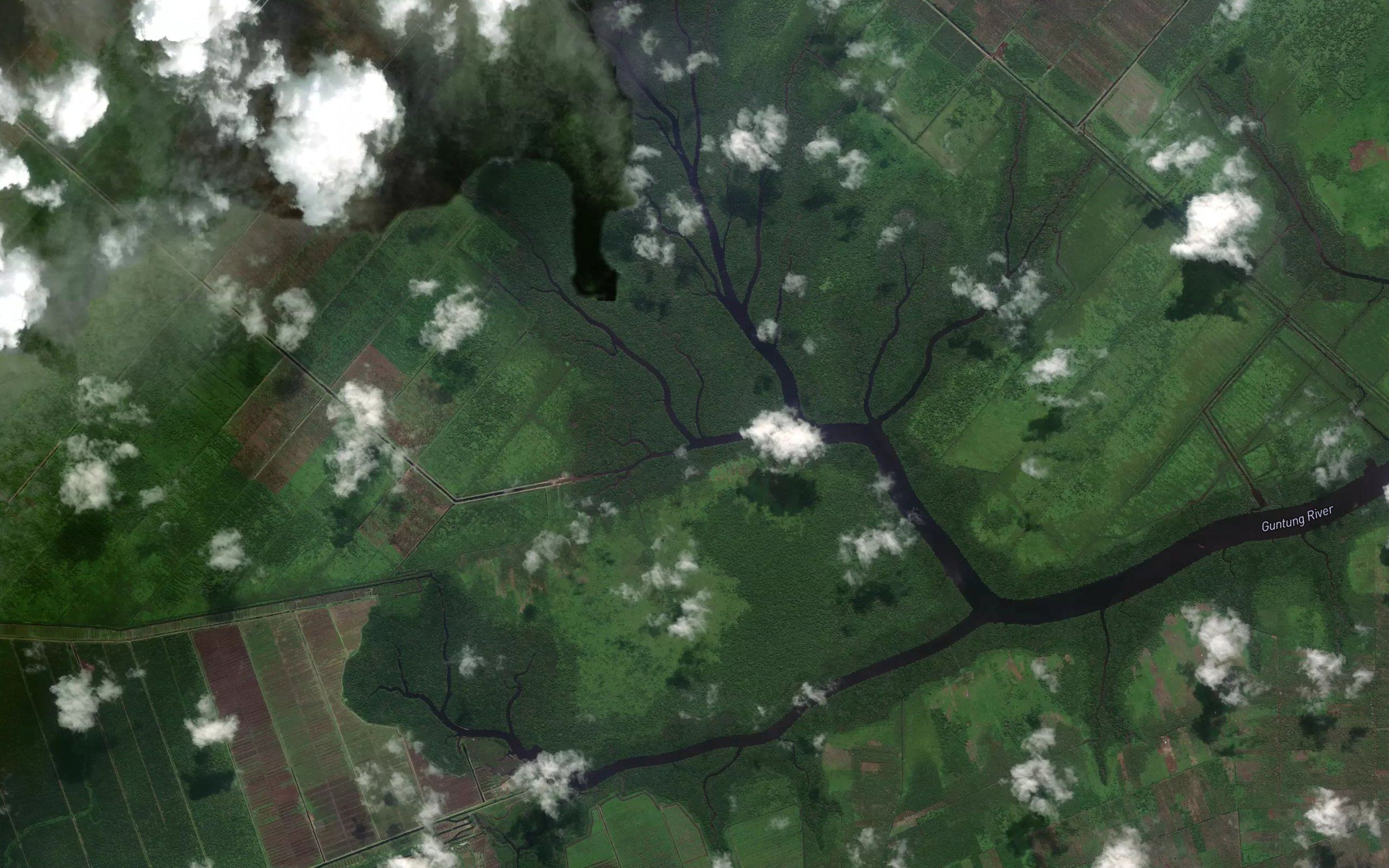 Sungai Saka Burung