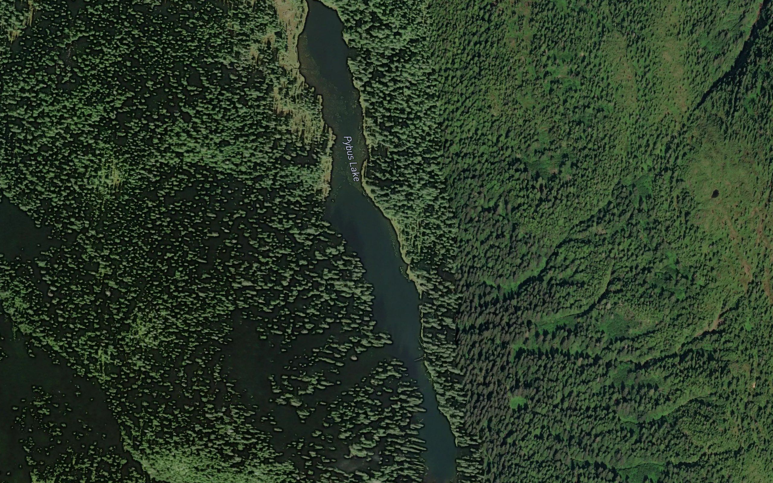 Pybus Lake