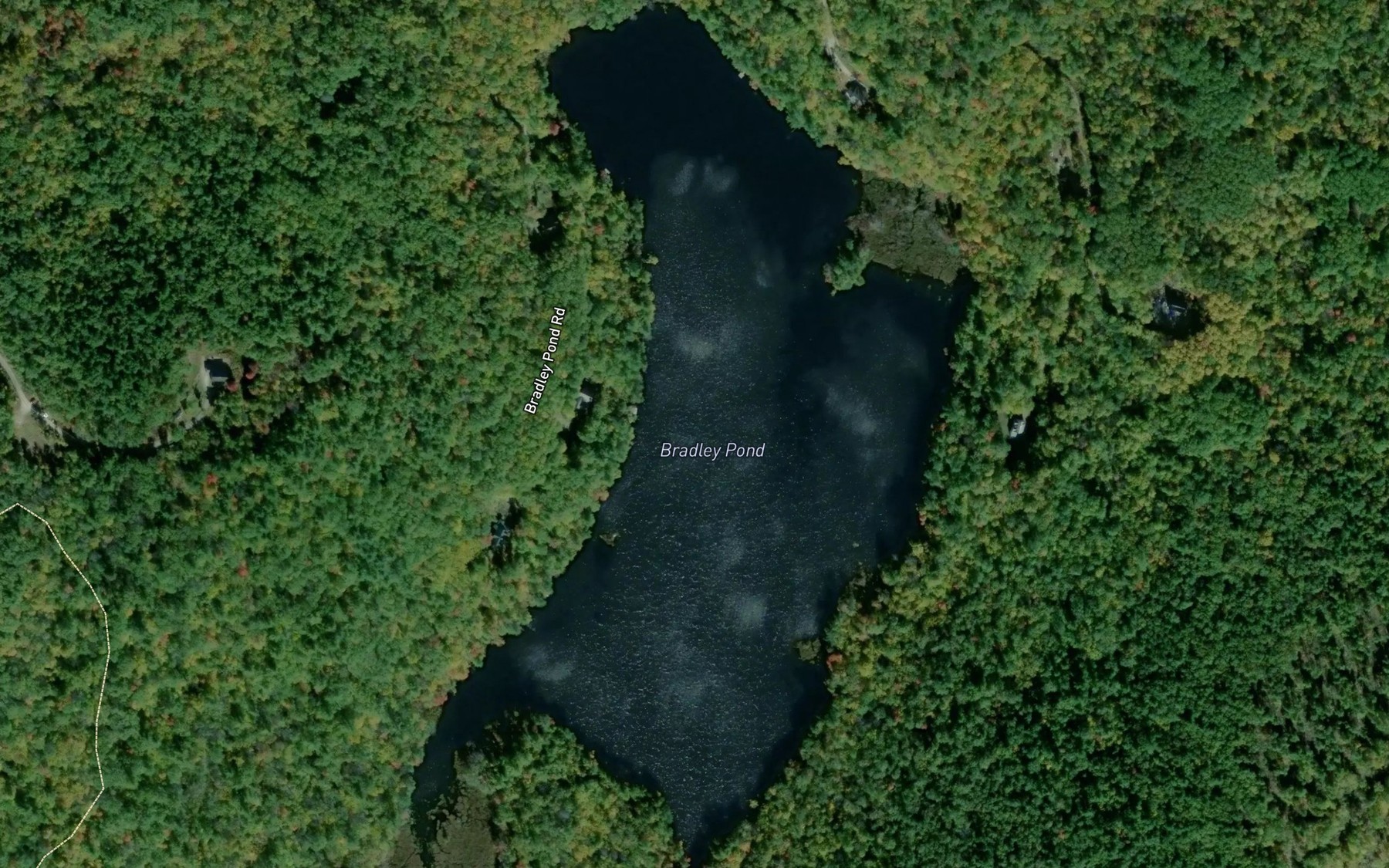 Satellite map of the Bradley Pond