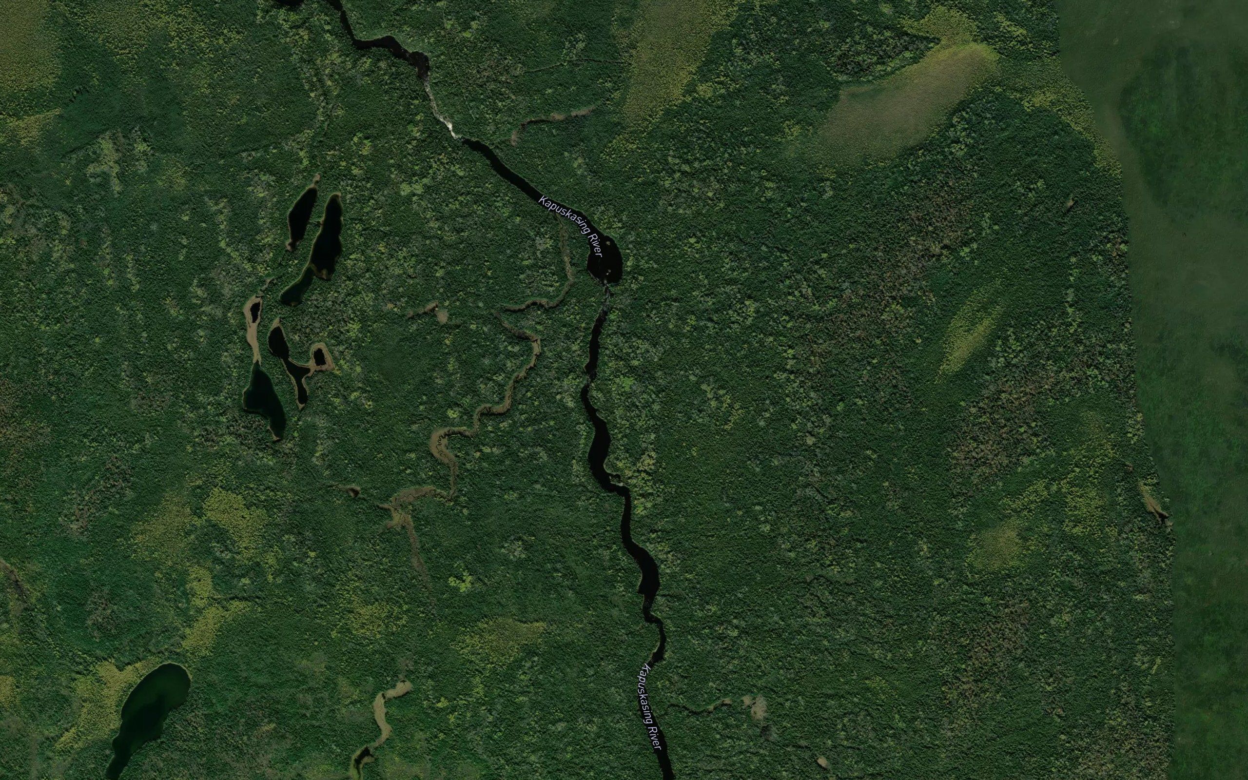 Loon Rapids