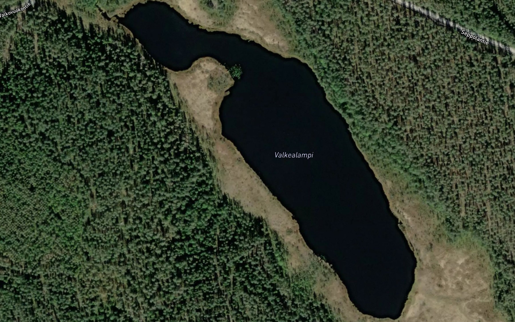 Satellite map of the Valkealampi