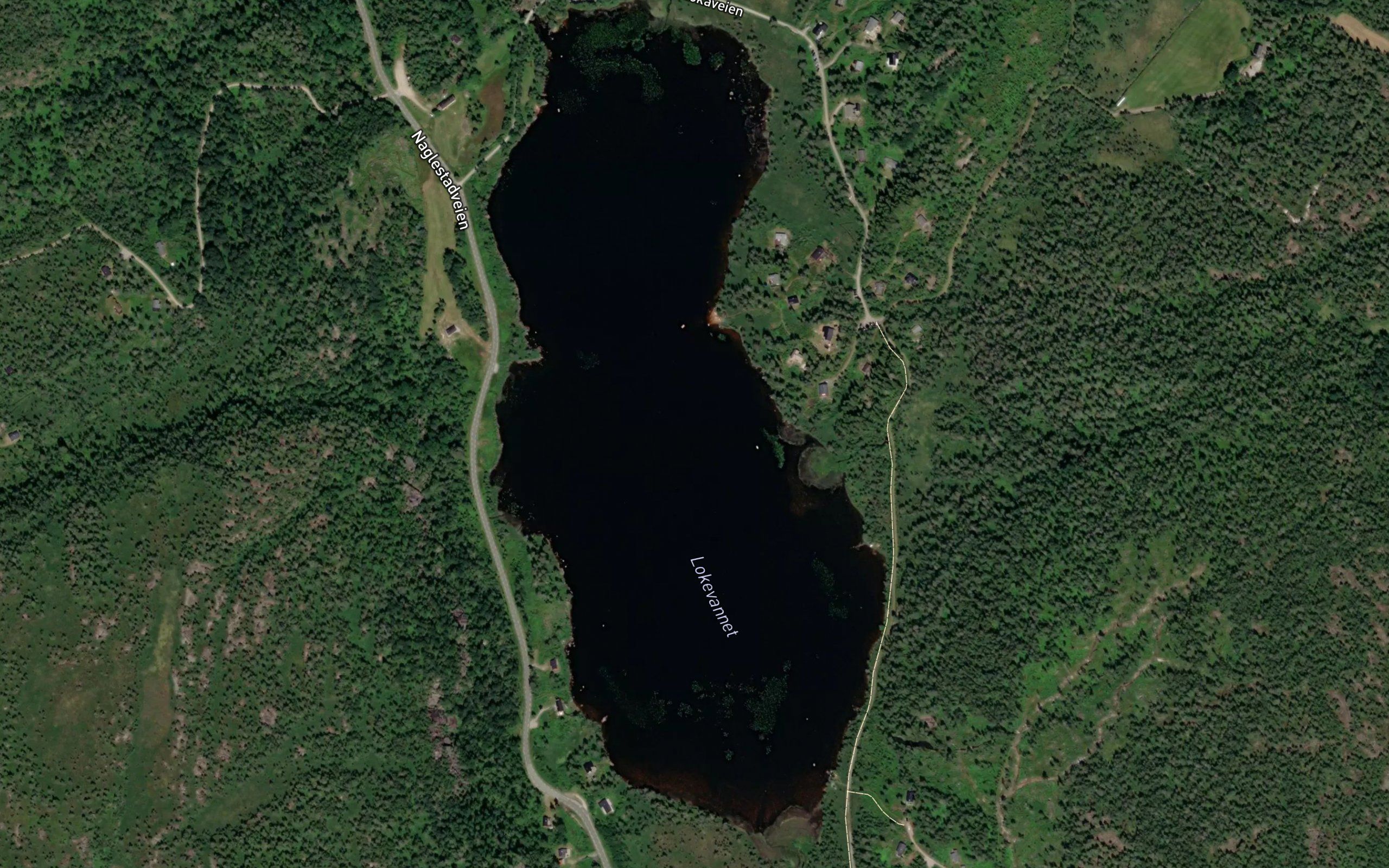 Lokavatnet