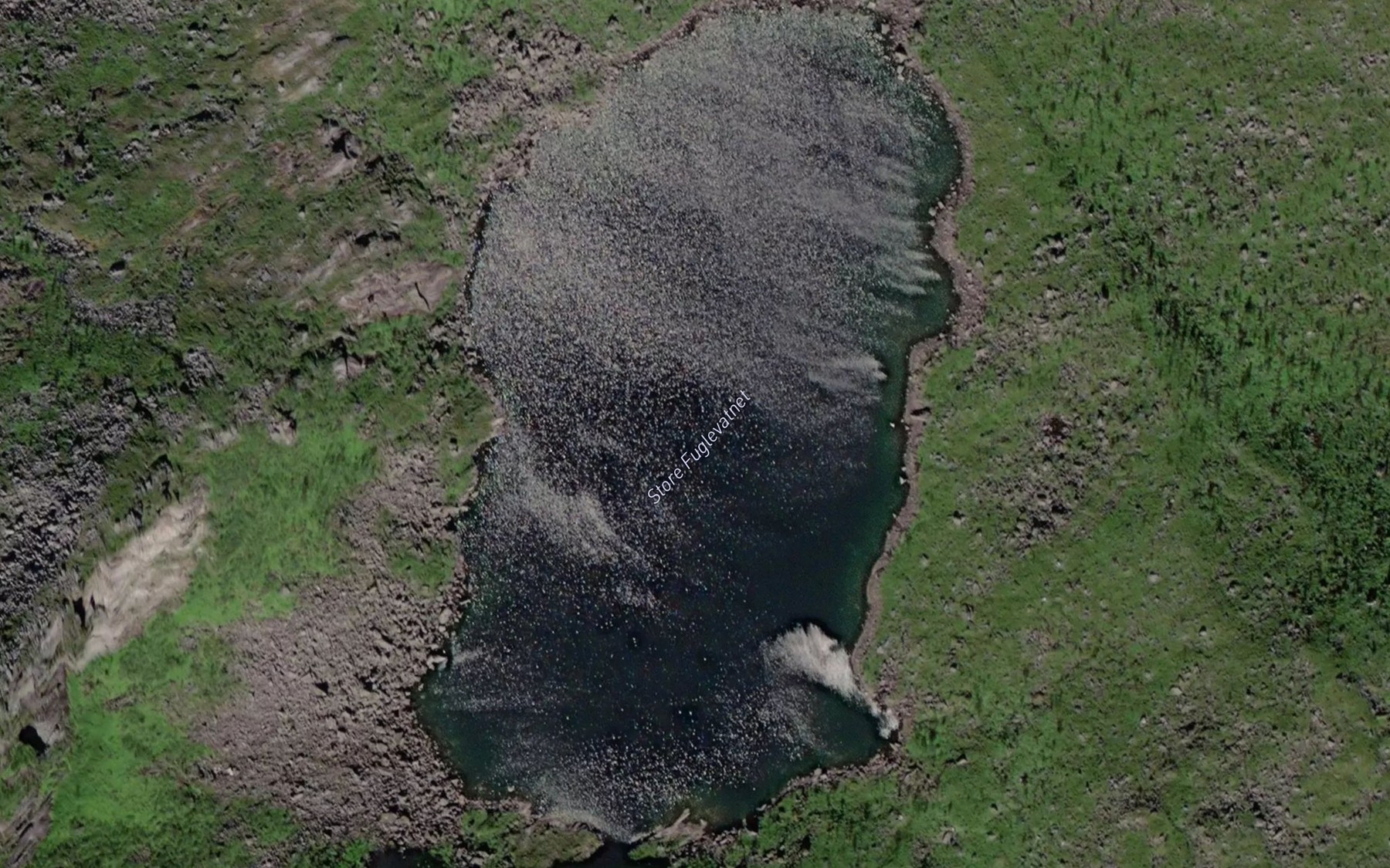 Satellite map of the Fuglevatnet,store