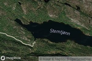 Stemtjorn