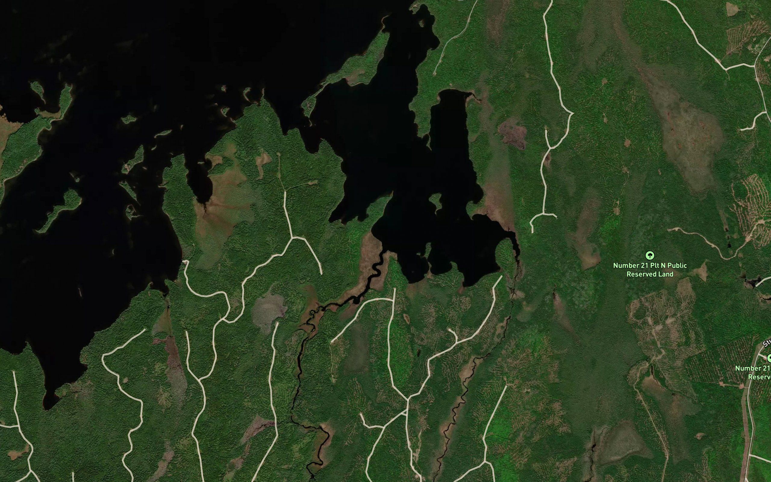 Clifford Stream