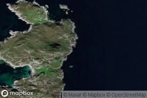Rekevika